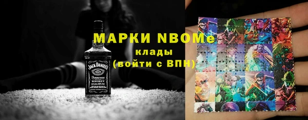 индика Аркадак