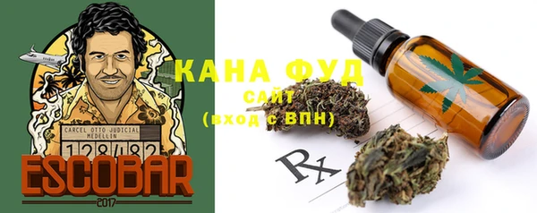 индика Аркадак