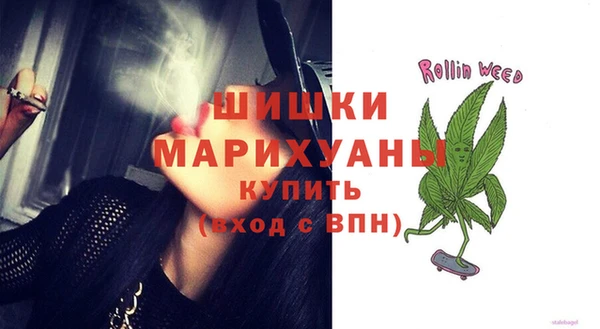 индика Аркадак