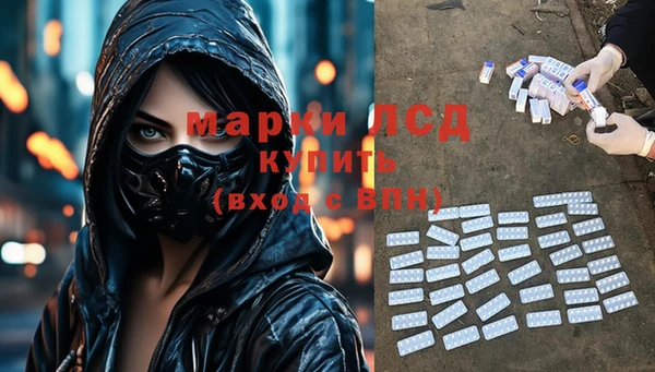 индика Аркадак