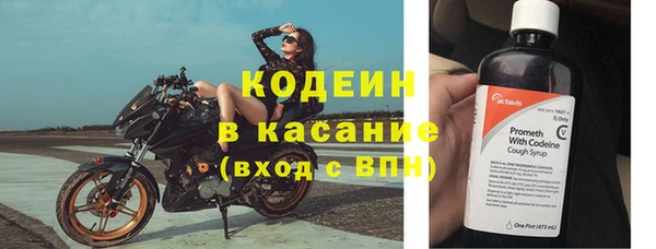 шишки Армянск