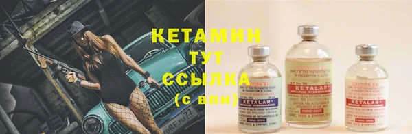 шишки Армянск