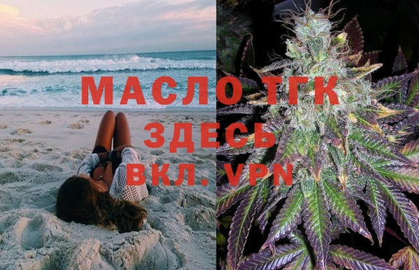 индика Аркадак