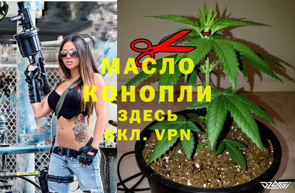 индика Аркадак