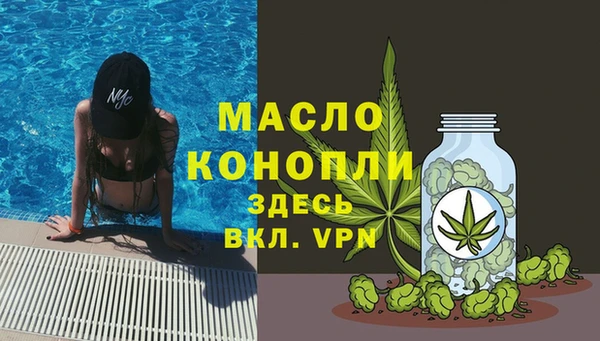 индика Аркадак