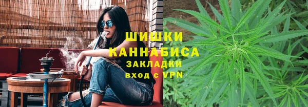 шишки Армянск