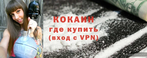 шишки Армянск