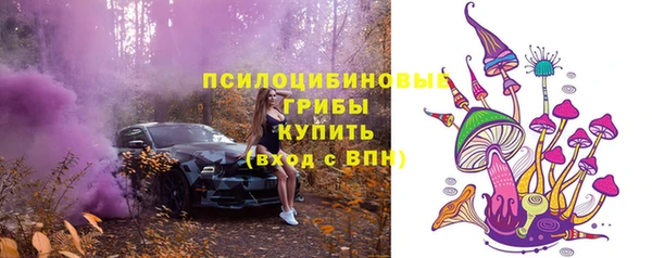 шишки Армянск