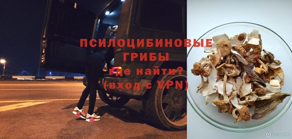 шишки Армянск