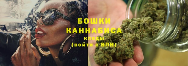 индика Аркадак