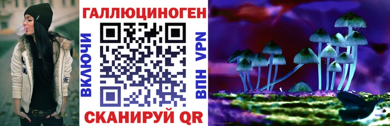 Галлюциногенные грибы Psilocybine cubensis Тутаев